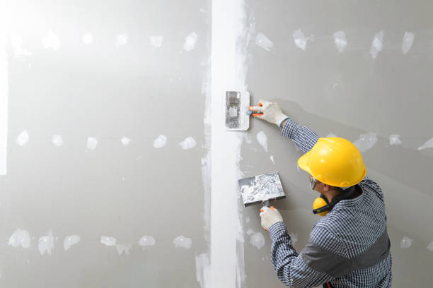 Best Industrial Mold Remediation  in Madill, OK