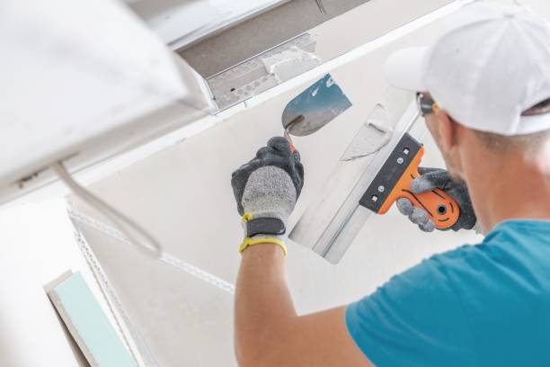Best Emergency Mold Remediation  in Madill, OK